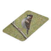 House Sparrow 2008 Magneet (Linkerzijde)