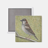 House Sparrow 2008 Magneet (Voorkant / Achterkant)
