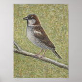 House Sparrow 2008 Poster (Voorkant)