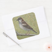 House Sparrow 2008 Vierkante Sticker (Envelop)