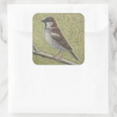 House Sparrow 2008 Vierkante Sticker (Tas)