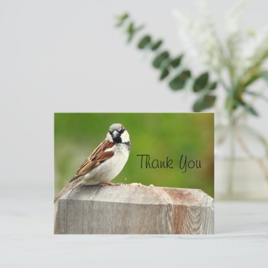 House Sparrow Briefkaart (Staand voorkant)