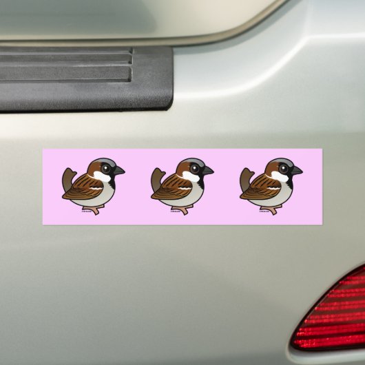House Sparrow Bumpersticker (Op auto)
