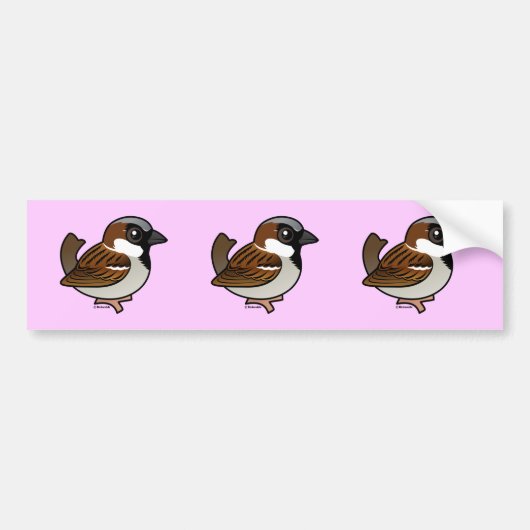 House Sparrow Bumpersticker (Voorkant)