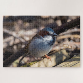 House Sparrow Legpuzzel