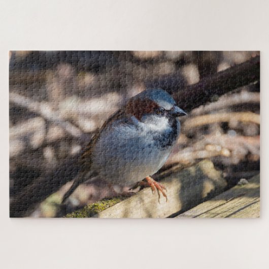 House Sparrow Legpuzzel (Horizontaal)