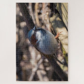 House Sparrow Legpuzzel (Verticaal)