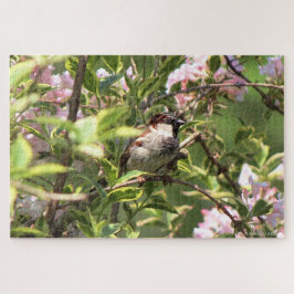 House Sparrow Legpuzzel