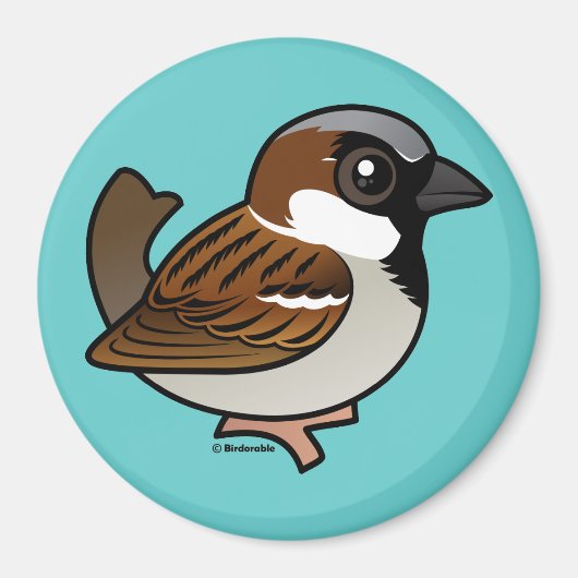 House Sparrow Magneet (Voorkant)