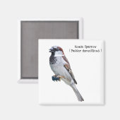House Sparrow Magneet (Voorkant / Achterkant)
