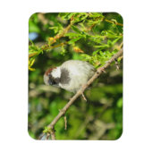 House Sparrow on Lila Struik Magnet Magneet (Verticaal)