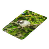 House Sparrow on Lila Struik Magnet Magneet (Linkerzijde)