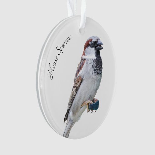House Sparrow Ornament (voorkant)
