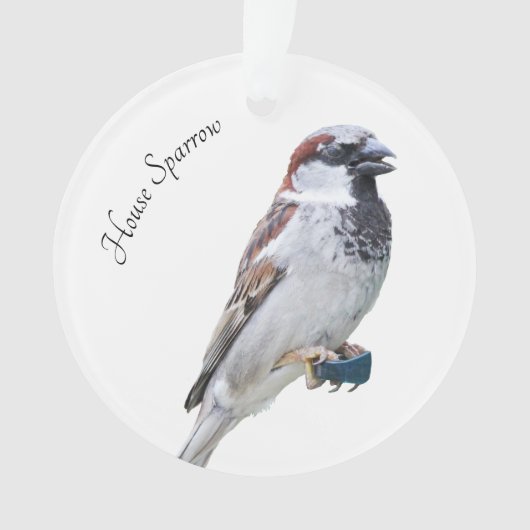 House Sparrow Ornament (voorkant)