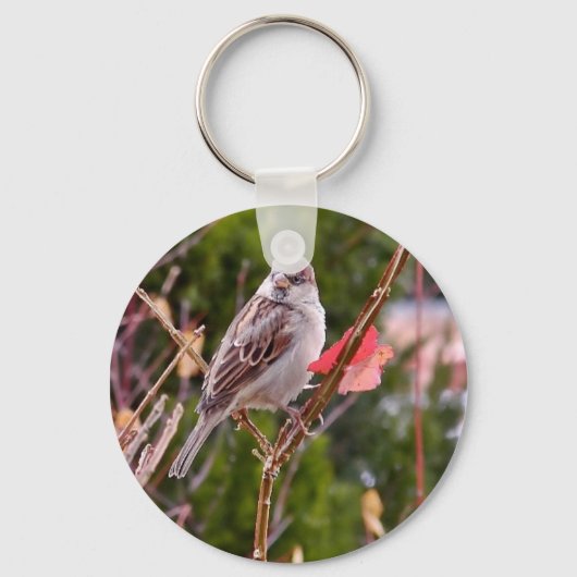 House Sparrow Sleutelhanger (Voorkant)