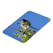 House Sparrow Spring Lilacs Magnet Magneet (Linkerzijde)