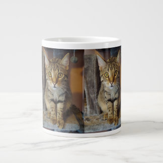 House Tiger Grote Koffiekop