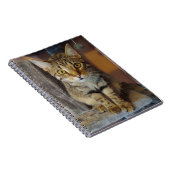 House Tiger Notitieboek (Rechterzijde)