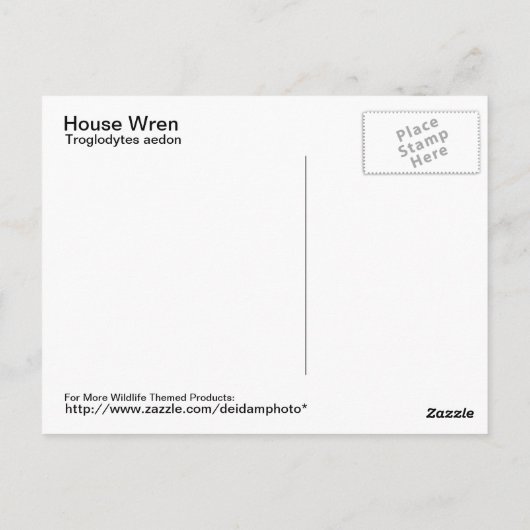 House Wren Briefkaart (Achterkant)