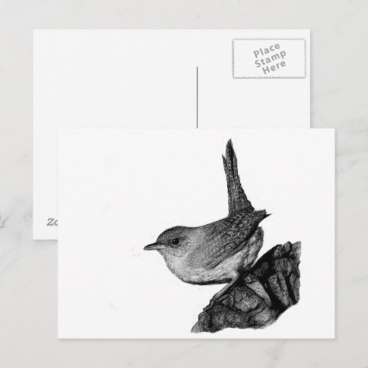 House Wren Briefkaart (Voorkant / Achterkant)