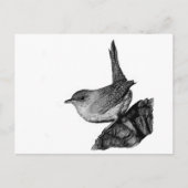 House Wren Briefkaart (Voorkant)
