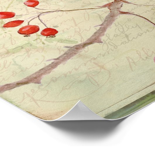 House Wren Collage Poster (Hoek)