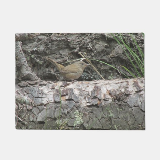 House Wren Deurmat (Voorkant)