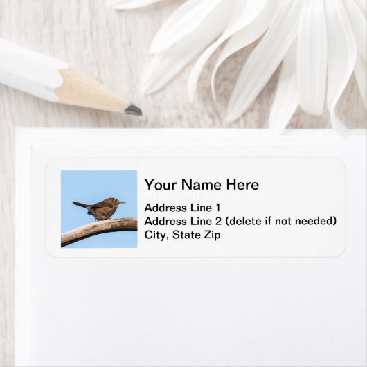 House Wren Etiket (Insitu)