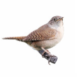 House Wren Fotobeeldje Magneet<br><div class="desc">Een afbeelding van een House Wren</div>