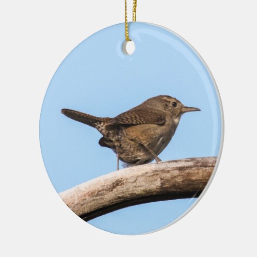 House Wren Keramisch Ornament (Links)