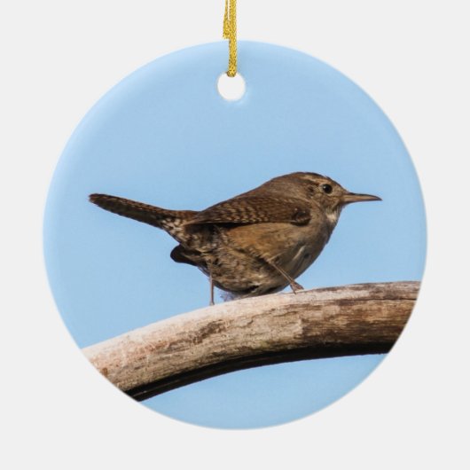 House Wren Keramisch Ornament (Achterkant)
