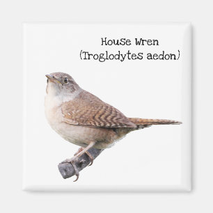 House Wren Magneet