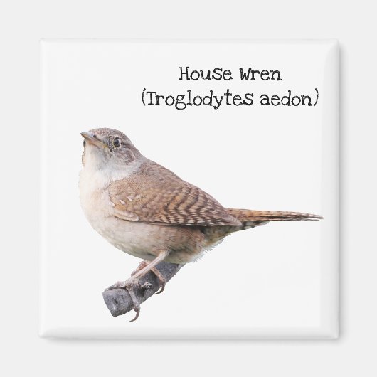 House Wren Magneet (Voorkant)
