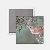 House Wren Magneet (Voorkant / Achterkant)