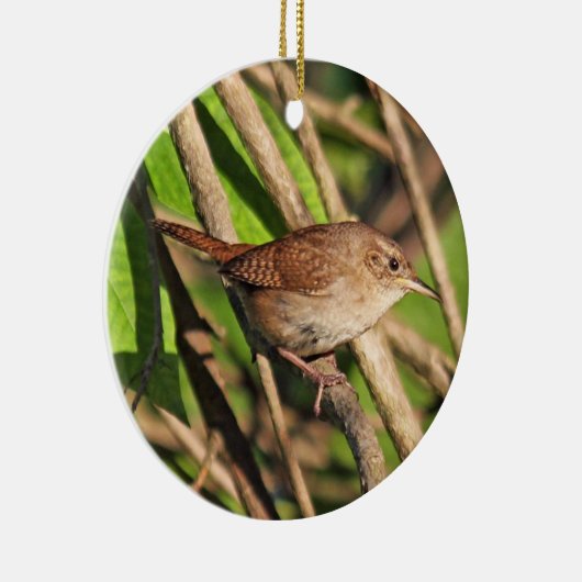 House Wren Ornament (Rechts)