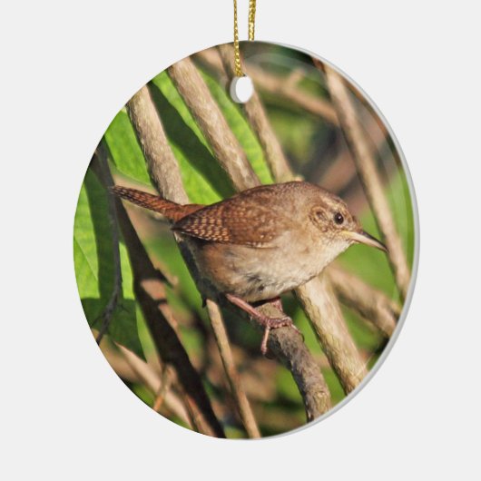 House Wren Ornament (Links)