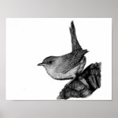 House Wren Poster (Voorkant)