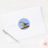 House Wren Ronde Sticker (Envelop)