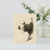 House Wren uit Audubon's Birds of America Briefkaart (Staand voorkant)