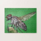 Housefly Close Insect Photo Puzzle Legpuzzel (Horizontaal)