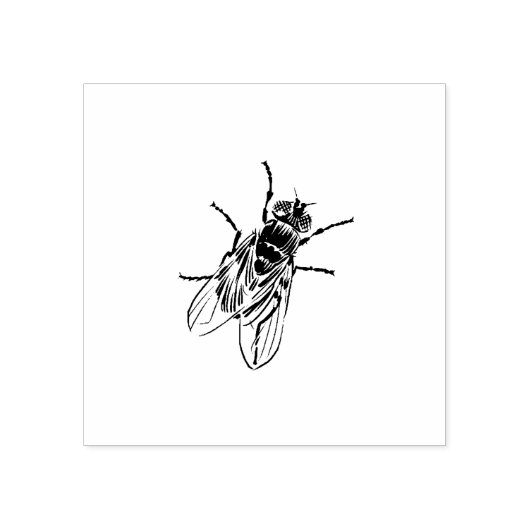 Housefly stempel (Afrduk)
