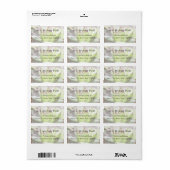 Houseleek - Sempervivum Etiket (Full Sheet)