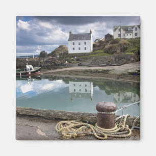 Houses en boten langs het water magneet