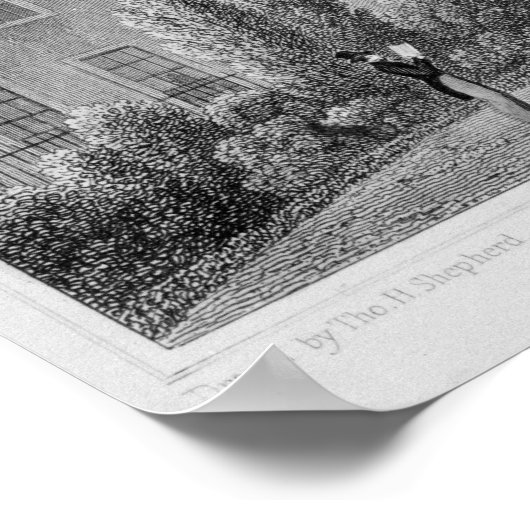 Houses op Surgeons' Square in Edinburgh Poster (Hoek)