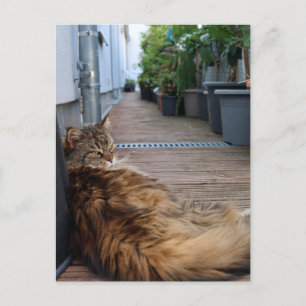 Housewarming of net verhuisde kaart