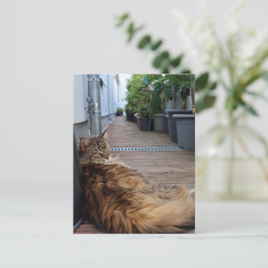 Housewarming of net verhuisde kaart (Staand voorkant)