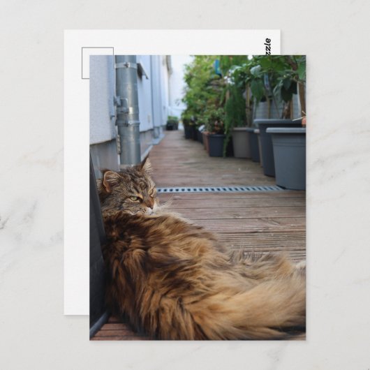 Housewarming of net verhuisde kaart (Voorkant / Achterkant)