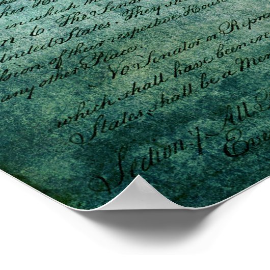 Houston City Flag Poster (Hoek)