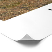 Houston Koe Parade Poster (Hoek)