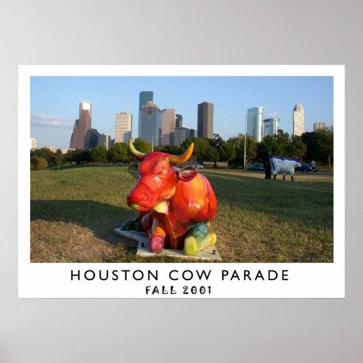 Houston Koe Parade Poster (Voorkant)